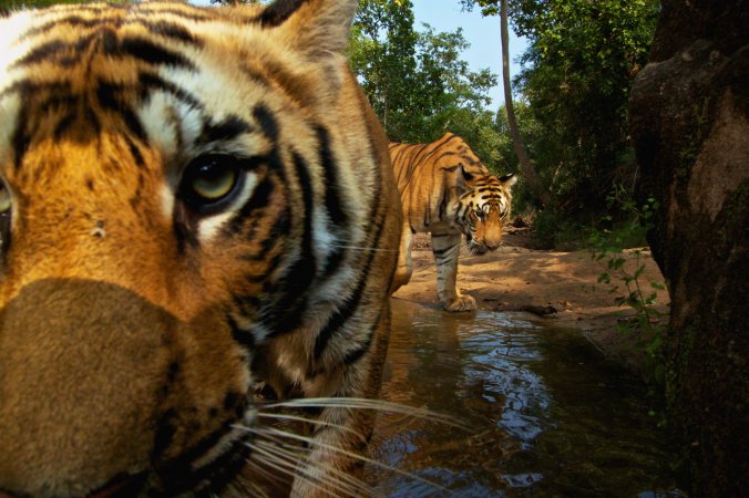 MM7666_101114_1348_67798