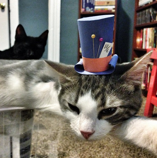 enhanced-buzz-15408-1378112712-11