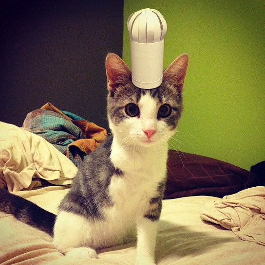 enhanced-buzz-25436-1378113460-7