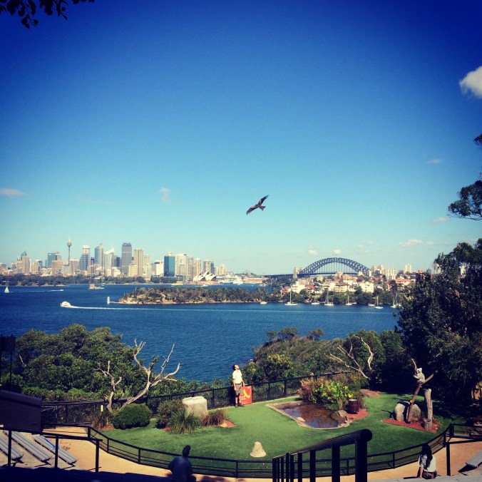 And I went to the zoo with my Aunt and little cousin.